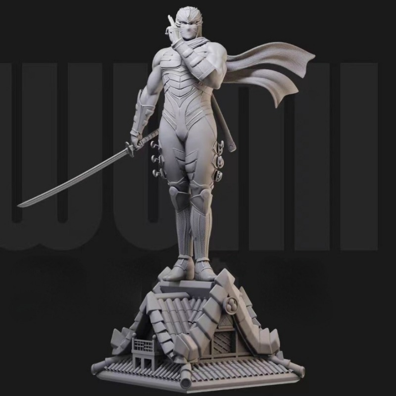 1/24  Miniature Black Robe Nin - огляд і ціна Model Kit Galahad