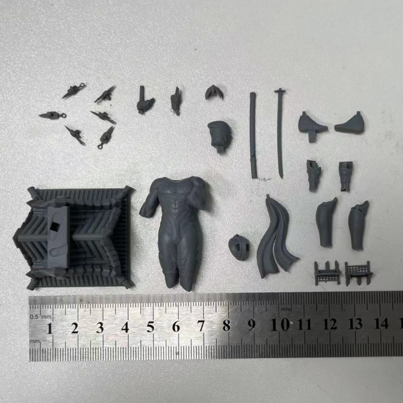 1/24  Miniature Black Robe Nin - огляд і ціна Model Kit Galahad